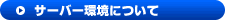 �����^���T�[�o�[�i�z�X�e�B���O�T�[�r�X�j���ɂ���